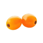 sea buckthorn