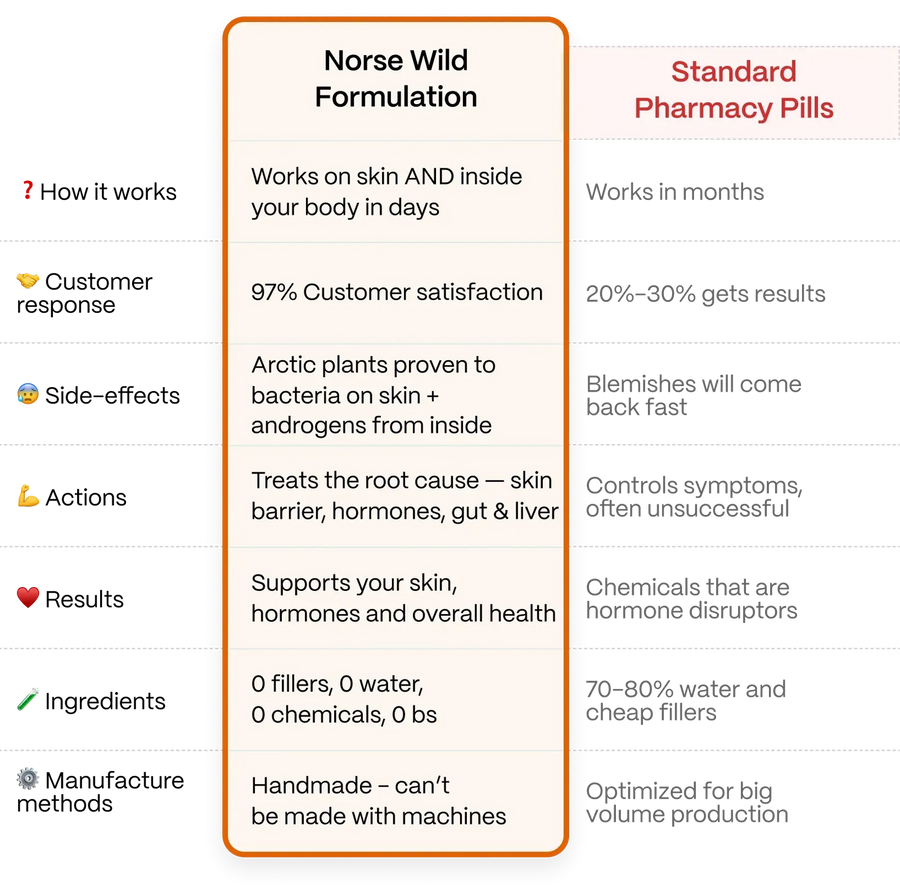 Why Customers Keep Coming Back to Norse